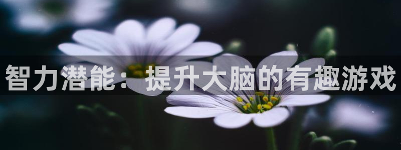 沐鸣2娱乐登录测速