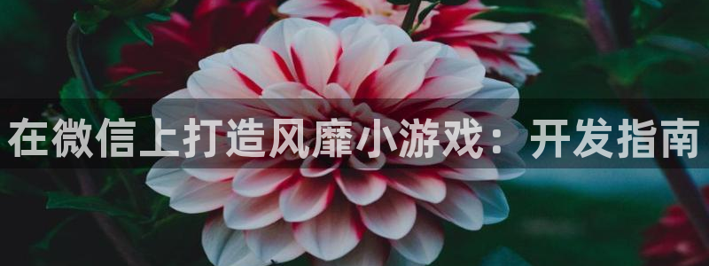 沐鸣娱乐2注册官网