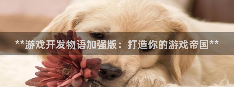沐鸣2官网网址