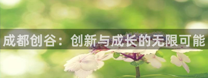 沐鸣娱乐2登录平台是什么：成都创谷：创新与成长的无限可能