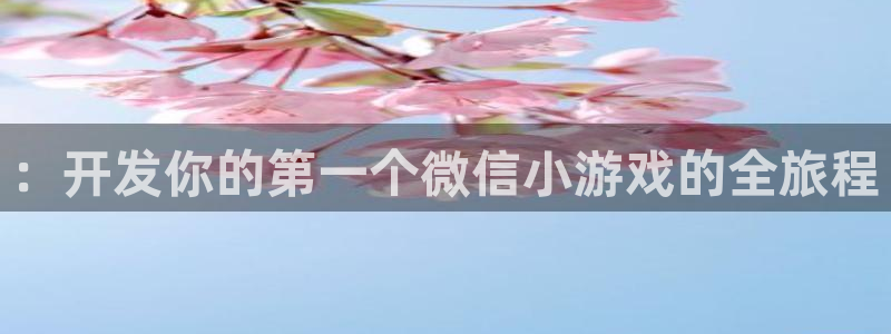 沐鸣娱乐2手机下载破解版：：开发你的第一个微信小游戏的全旅程