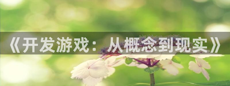 沐鸣娱乐2手机版：《开发游戏：从概念到现实》