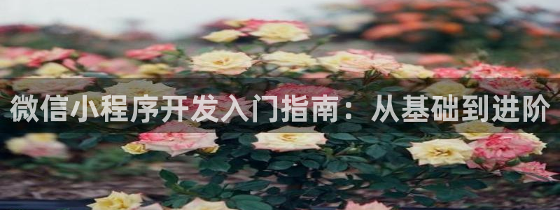 沐鸣2平台官网：微信小程序开发入门指南：从基础到进阶