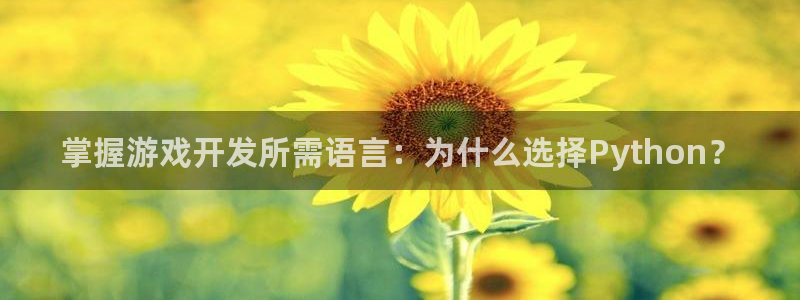 沐鸣娱乐2登录平台官网下载：掌握游戏开发所需语言：为什么选择Python？