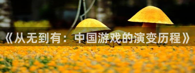 沐鸣2娱乐平台登录客服：《从无到有：中国游戏的演变历程》