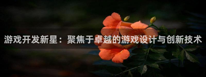 沐鸣2官网注册地址：游戏开发新星：聚焦于卓越的游戏设计与创新技术