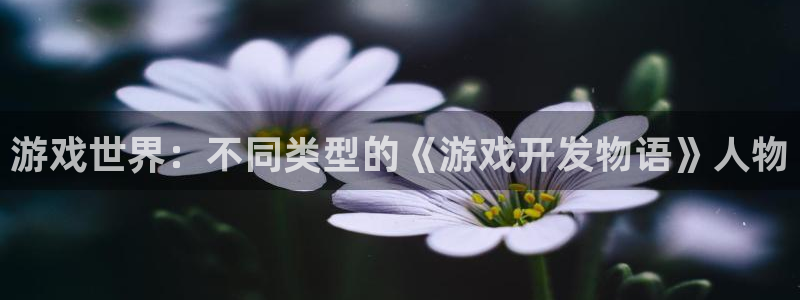 沐鸣娱乐2：游戏世界：不同类型的《游戏开发物语》人物