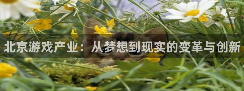 沐鸣娱乐2登录平台官网入口：北京游戏产业：从梦想到现实的变革与创新