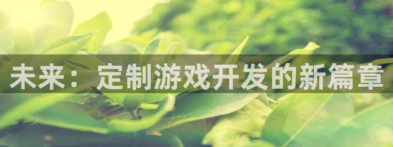 沐鸣2票35994度：未来：定制游戏开发的新篇章