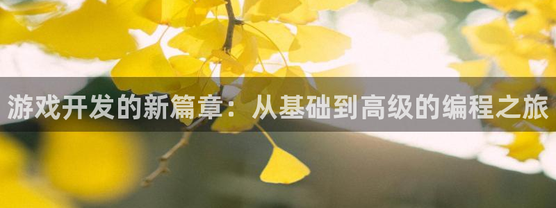 沐鸣2代理注册：游戏开发的新篇章：从基础到高级的编程之旅