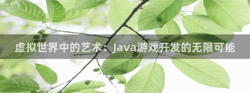 沐鸣娱乐2登录平台是什么：虚拟世界中的艺术：Java游戏开发的无限可能