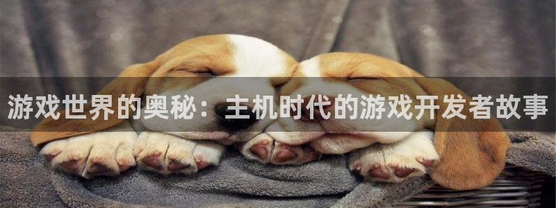沐鸣2代理官网：游戏世界的奥秘：主机时代的游戏开发者故事