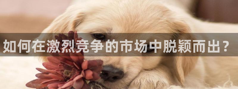 沐鸣2登录测速：如何在激烈竞争的市场中脱颖而出？