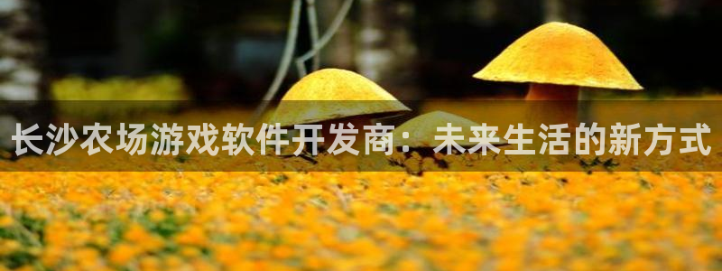 沐鸣娱乐2上来77542：长沙农场游戏软件开发商：未来生活的新方式