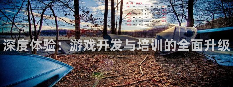 沐鸣娱乐平台2注册：深度体验：游戏开发与培训的全面升级