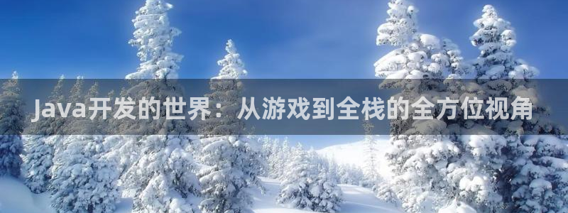 沐鸣2登录测速：Java开发的世界：从游戏到全栈的全方位视角