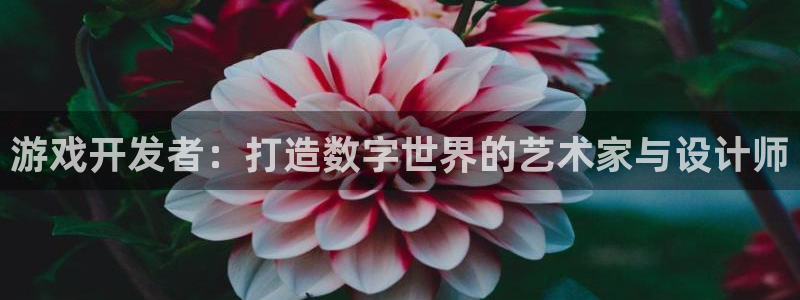 沐鸣2首页登录：游戏开发者：打造数字世界的艺术家与设计师