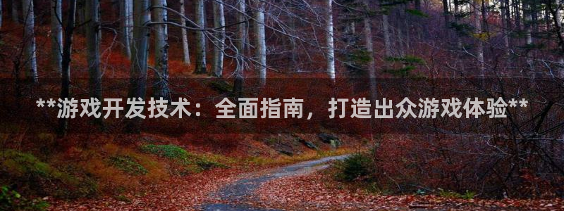 沐鸣娱乐2官网网址：**游戏开发技术：全面指南，打造出众游戏体验**