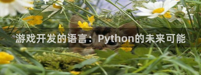 沐鸣娱乐2是干嘛的：游戏开发的语言：Python的未来可能