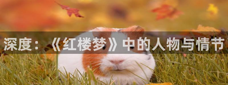 黎明之剑起点中文网：深度：《红楼梦》中的人物与情节