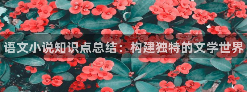 小说推荐起点：语文小说知识点总结：构建独特的文学世界