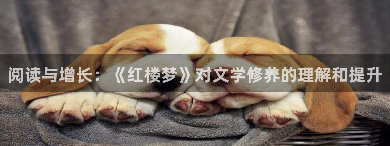 起点小说官网下载：阅读与增长：《红楼梦》对文学修养的理解和提升