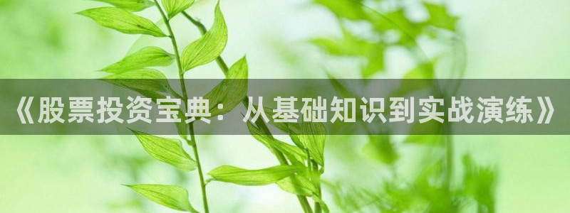 起点女生网 小说：《股票投资宝典：从基础知识到实战演练》